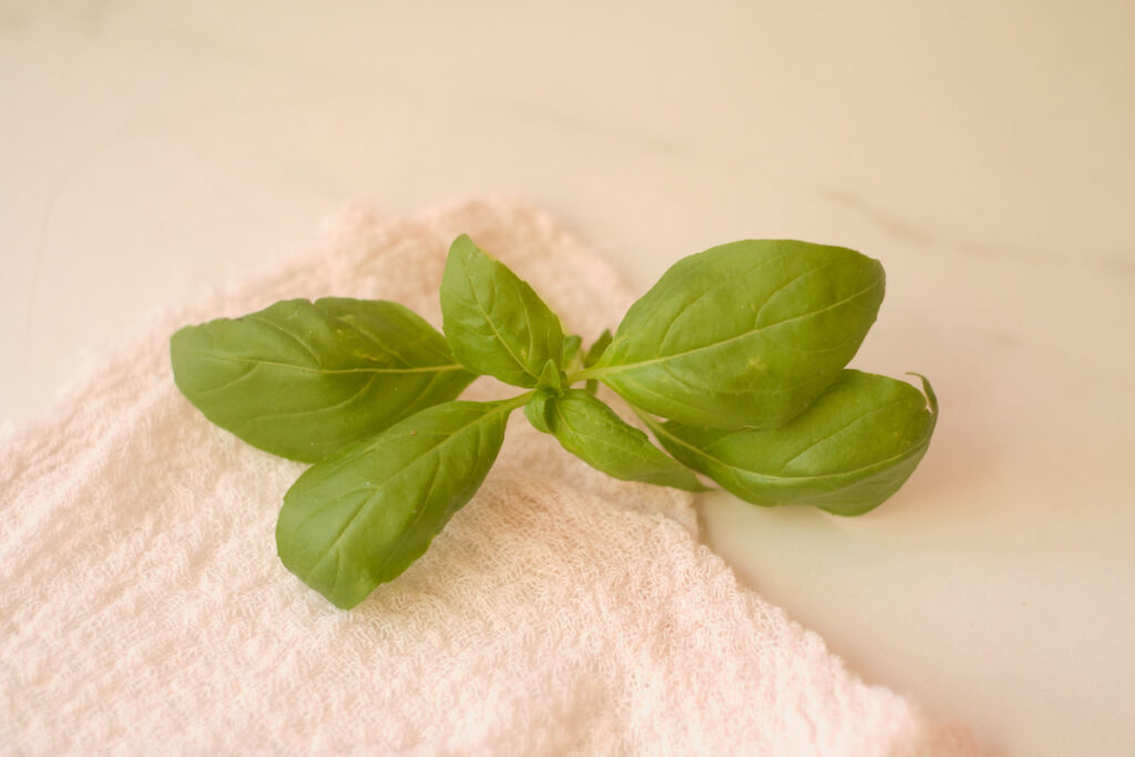 fresh basil leaves on a white muslin cloth on a counter