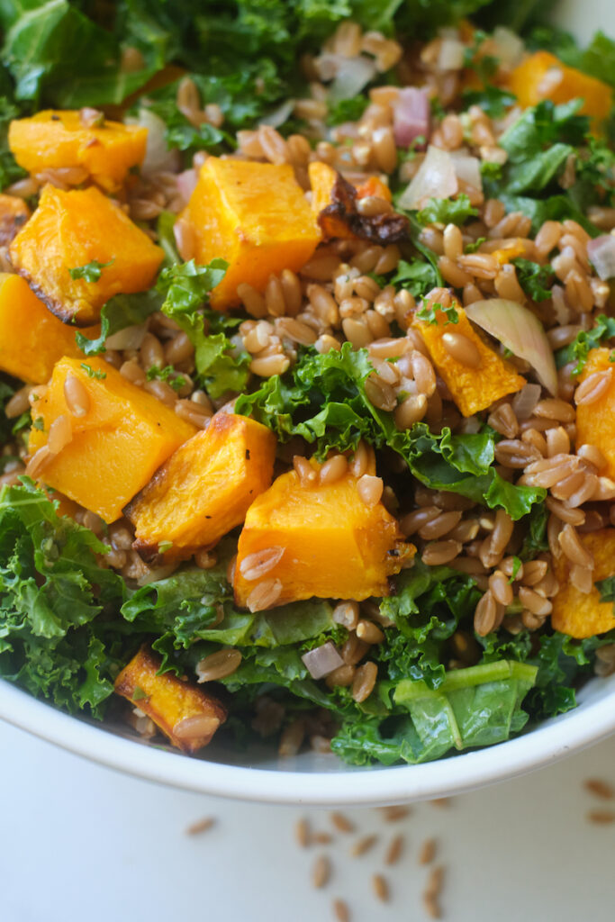 Closeup of a farro butternut squash salad with kale and herbs
