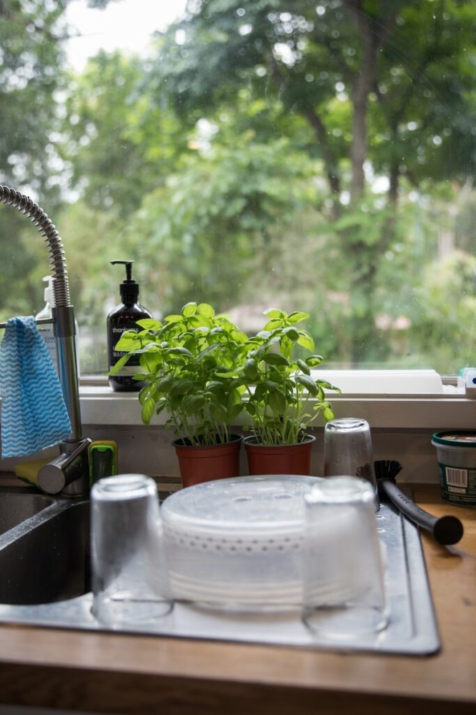 basil plants on a countertop near the kitchen sink