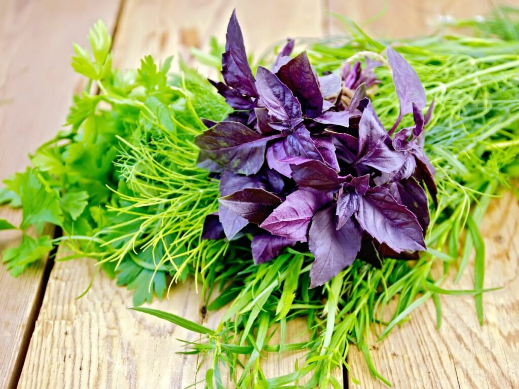 A bunch of herbs on a wooden table including purple basil, tarragon, and parsely