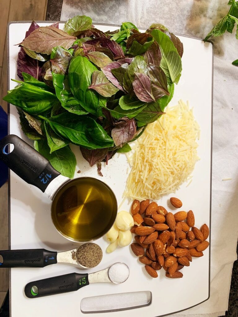 ingredients for pesto made with green and red rubin basil