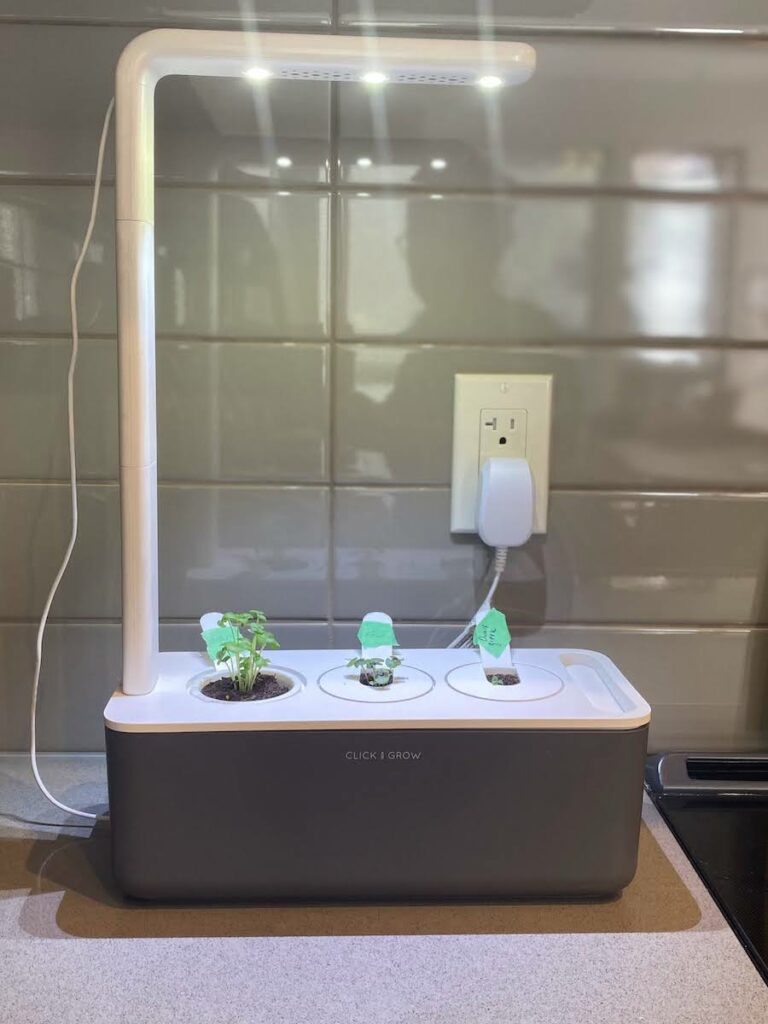 Growing different types of basil in a Click and Grow with artificial LED grow light to meet basil sun requirements