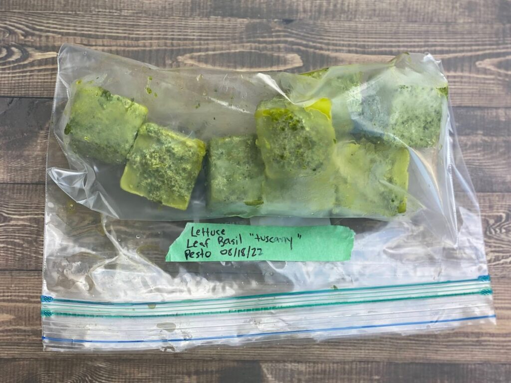 Frozen pesto cubes in a plastic freezer bag with a label on the bag that says "Lettuce Leaf Basil Tuscany Pesto" and the date on which they were frozen